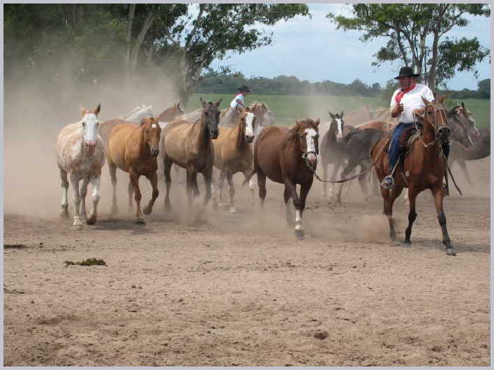 Argentina