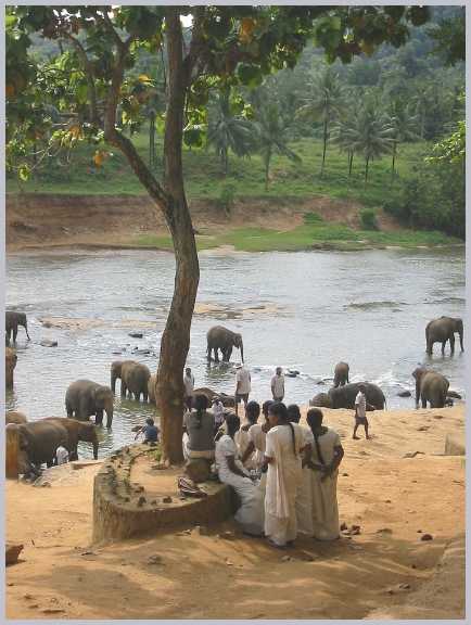 Sri Lanka