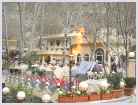Click on thumbnail to enlarge Iran