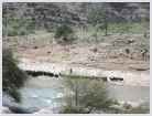 Click on thumbnail to enlarge Iran