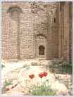Click on thumbnail to enlarge Iran