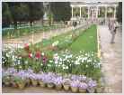Click on thumbnail to enlarge Iran