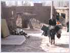 Click on thumbnail to enlarge Iran