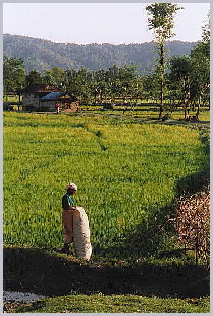 Nepal