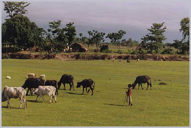 Nepal