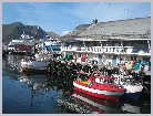 Click on the thumbnail to enlarge it Norway