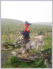 Click on the thumbnail to enlarge it Norway