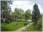 Click on the thumbnail to enlarge it Norway