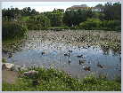 Click on the thumbnail to enlarge it Norway