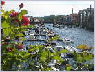 Click on the thumbnail to enlarge it Norway