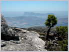 Click on the thumbnail to enlarge South Africa