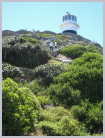 Click on the thumbnail to enlarge South Africa