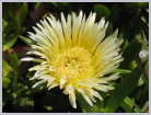Click on the thumbnail to enlarge South Africa