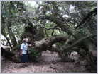 Click on the thumbnail to enlarge South Africa