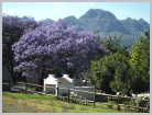 South Africa