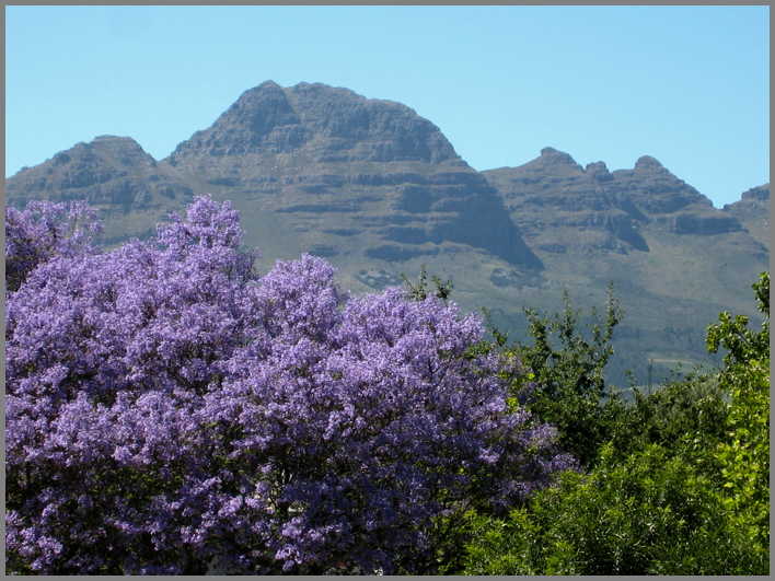 South Africa