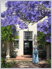South Africa