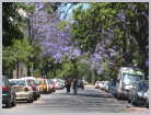 South Africa