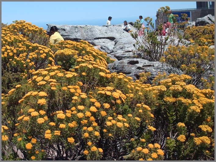 South Africa