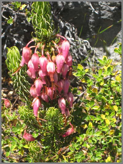 South Africa