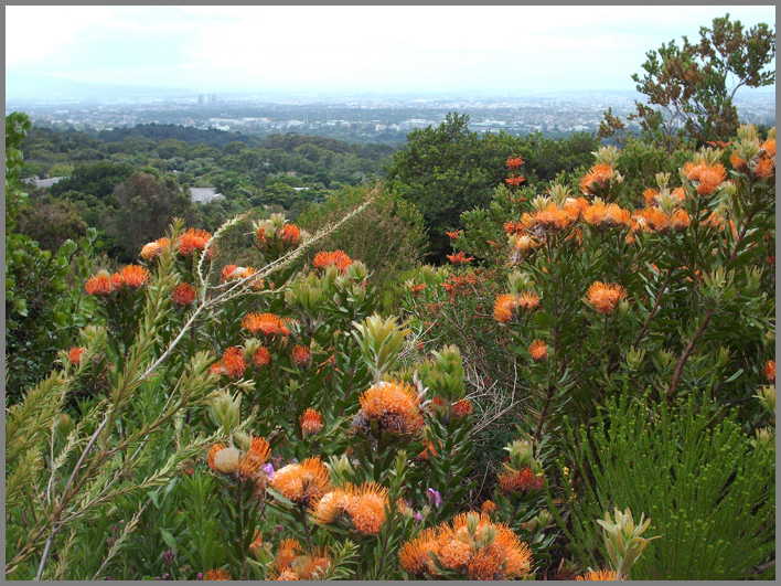 South Africa