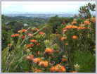 South Africa